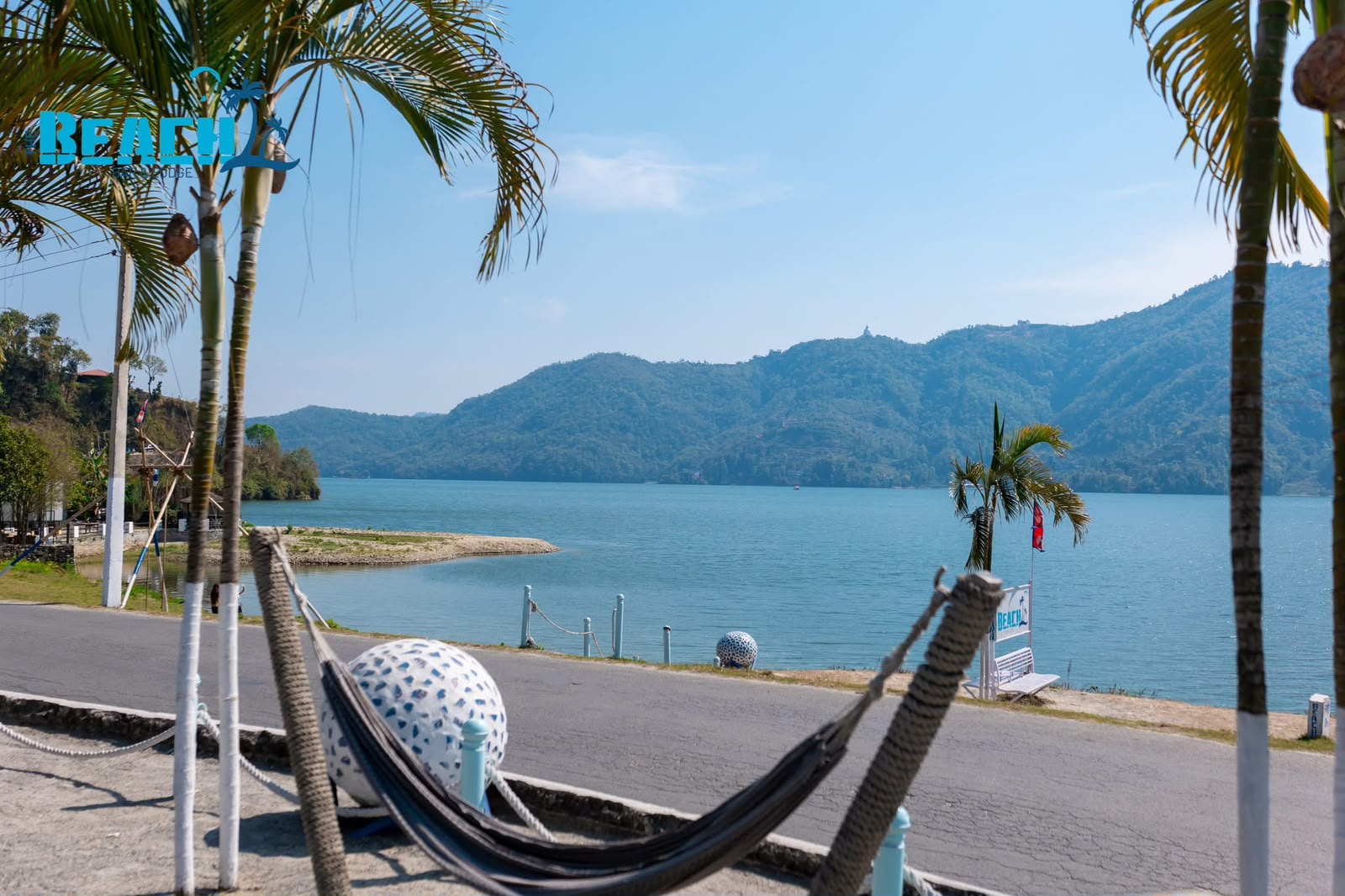 A hammock beneath palms beside Phewa Lake